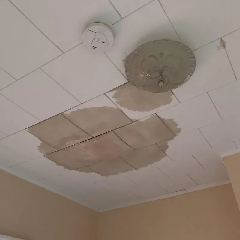 Ceiling Water Damage Repair in Ossipee, NH